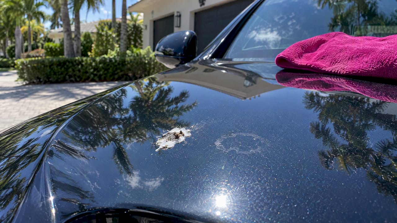 Bird dropping etched into a luxury car hood